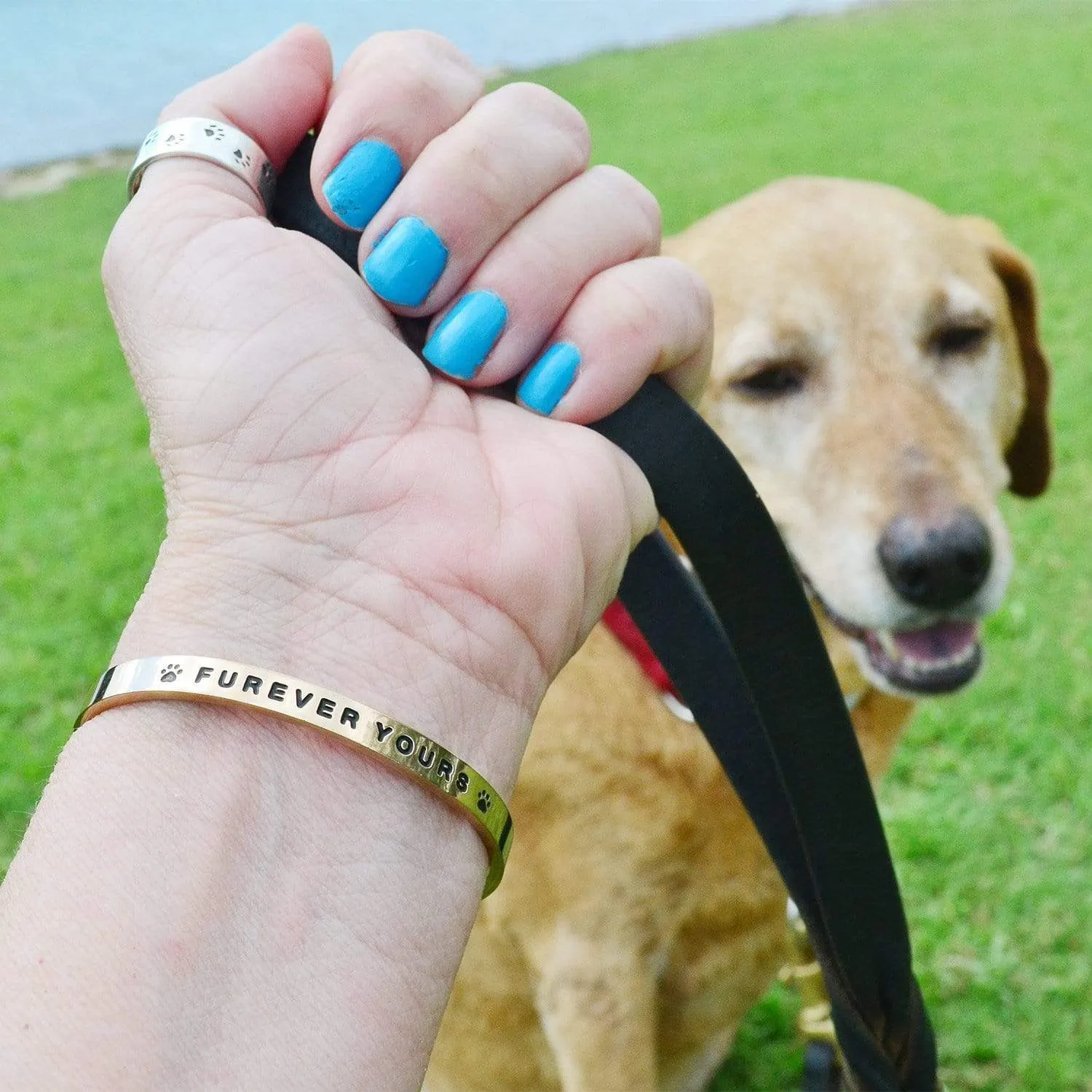 FUREVER YOURS Bracelet | Paw Promise Charity Bracelets